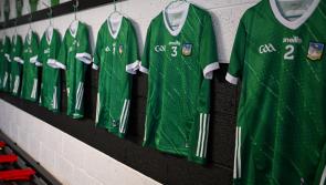 Limerick GAA to seek planning permission for &euro;20m centre of excellence