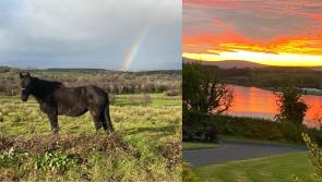 Walking through the heart of Leitrim: New community camino set to take first steps 