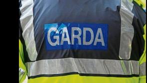 'The potential to be used in criminal activity': Firearm stolen from premises in County Limerick