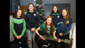 PICTURES: County Limerick GAA club hosts celebration to mark anniversary of hurling championship win