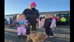 PICTURES: GOAL Mile at County Limerick GAA club
