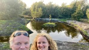 Innovative Hare's Corner Project returns to Offaly for second year