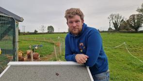 The 63 million man! Longford's Farmer Phil rakes in the views