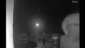 Criminals try every house and car door handle in Limerick estate before stealing vehicle