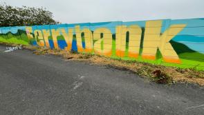 'Do a Jack Charlton on it' - Kilkenny councillors push for greenway opening date