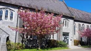 Offaly Library will be a Sanctuary for refugees and migrants