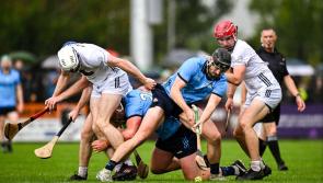 PREVIEW: Kildare ready for another crack at The Dubs in league opener