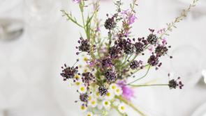 Congratulations: Best wishes to newlyweds who married in Longford