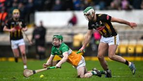 Offaly hurlers searching for more green shoots against All-Ireland champions