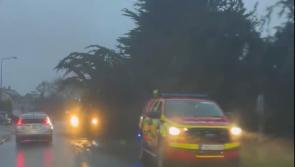 VIDEO: Louth Fire & Rescue tend to fallen tree during Strom Chandra