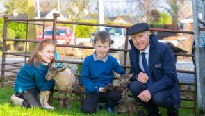 Louth primary schools invited to join nationwide AgriKids farm safety programme