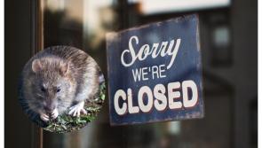 'No excuse' - Rat infestations found as four food businesses forced to close in January