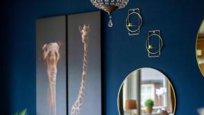 'What about all the hotels that are sitting closed and idle?' - Leitrim councillor