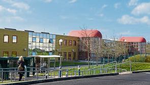 Call for Government support following job losses in Limerick