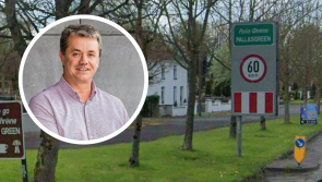 Calls for lights on popular Limerick walkway amid &lsquo;accident waiting to happen&rsquo;