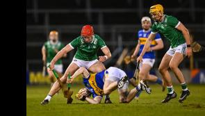 Fourteen-man Tipperary given a lesson by hungry Limerick in one-sided league encounter