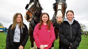 Fantastic day awaits as Longford family set to host second consecutive Longford Ploughing