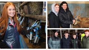 PICTURES: Future farmers? Limerick students explore the agricultural world