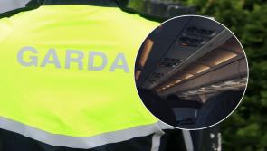 LATEST: Convicted criminals among latest cohort of people deported from Ireland