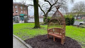 'Slow down and connect': New willow artwork offers calming space in Limerick city park