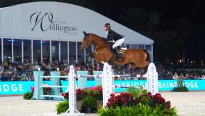 Offaly showjumper Darragh Kenny wins $500,000 Wellington five-star Grand Prix in Florida