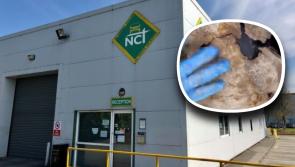 NCT issues stark warning after shocking 'sunroof in the underbody' discovery on Irish car