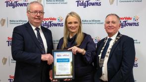 &lsquo;Time and skills&rsquo; of Limerick volunteers honoured at SuperValu Tidy Towns awards ceremony