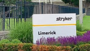 Limerick staff unable to login to work devices after cyberattack from hacker group