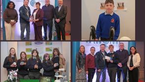 Longford&rsquo;s young entrepreneurs head to the big stage for National Enterprise final