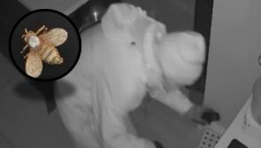 CCTV shows three intruders rifling through drawers in Kildare home burglary