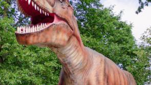 Familiar Kilkenny location takes centre stage on national television
