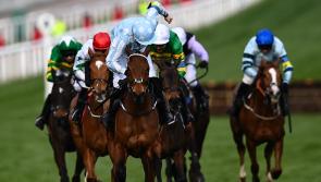 REACTION: See the online jubilation after Rachael Blackmore's win in Cheltenham