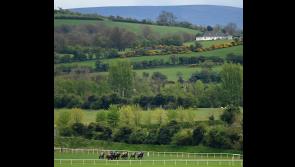 Big Tipperary lotto win heads to Punchestown of all places!