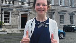 Darmody campaign on assessments of needs a 'rare victory for families', says Bonfield