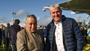 When John Kiely met John Kiely - Limerick hurling boss chews the cud with legendary horse trainer