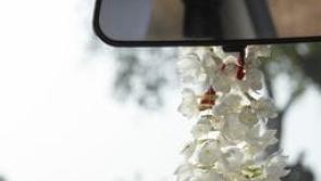 Gardaí warn Longford motorists to stop engaging in 'new trend' or penalties may be issued