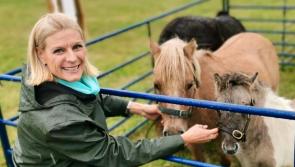 Green minister welcomes money for Laois artists
