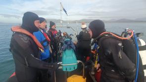 Dundalk Sub Aqua Club take to the water for first dive of the year 