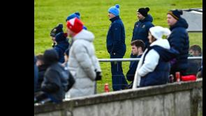 Cahill reveals that a development panel is training in conjunction with the main squad