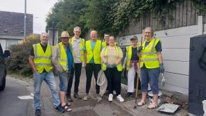 Many hands make light work as laneway gets makeover from volunteers in Kilkenny City