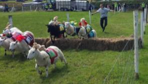South Tipperary village gets ready for four-day multi-event festival