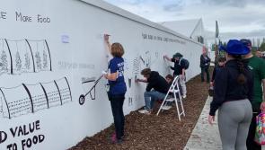 WATCH: Sustainable farming mural at the National Ploughing Championships