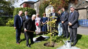 Tree planting ceremony at Dundalk Grammar School 