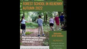 Connection, community and collaboration in Kilkenny forests for kids 

