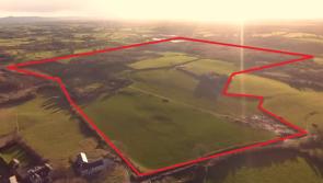 Limerick land sells for over half a million euros