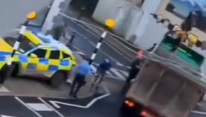 Upsetting scenes in Limerick town as dead horse is removed from street
