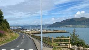 Cllr Watters says new safety fencing at Carlingford will address "serious safety issue"