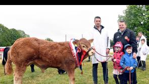 In Pictures: Charleville puts on a show as popular event makes welcome return
