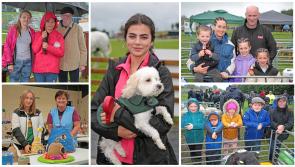 PICTURES | Large crowds defy weather and descend on Longford for top quality Granard Agricultural Show 