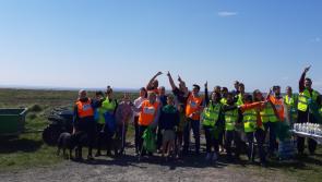 Free clean-up kits available to communities in Louth for World Ocean Day